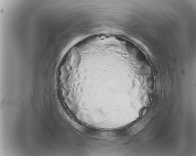 X0000085251375200703231639