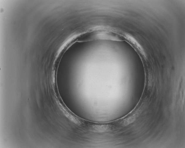 X0000085251376200703231639