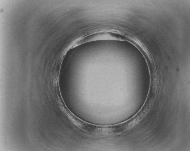 X0000085251377200703231639