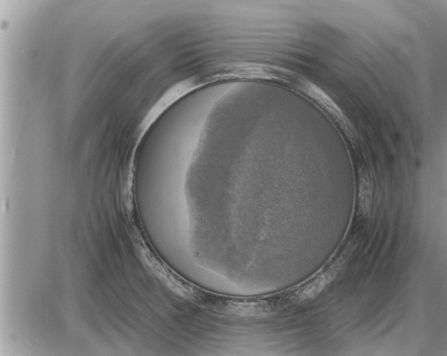 X0000085251378200703231639