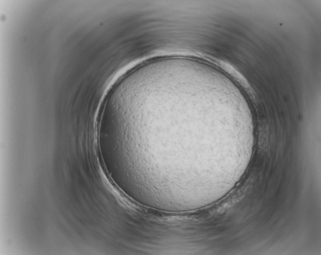 X0000085251380200703231639