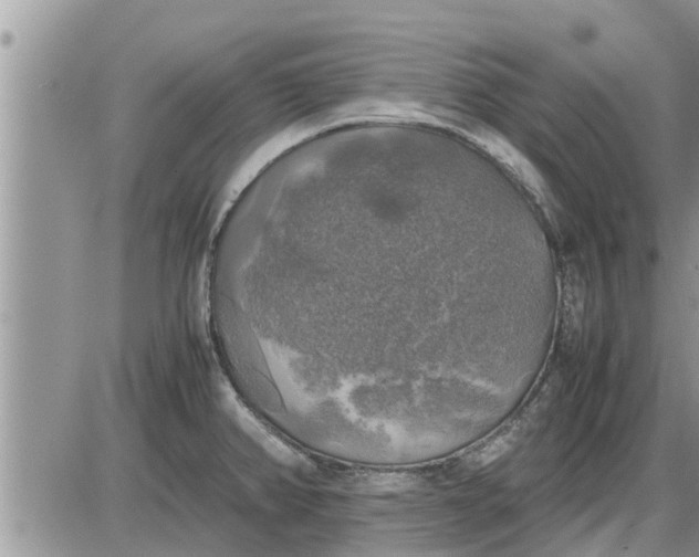 X0000085251382200703231639