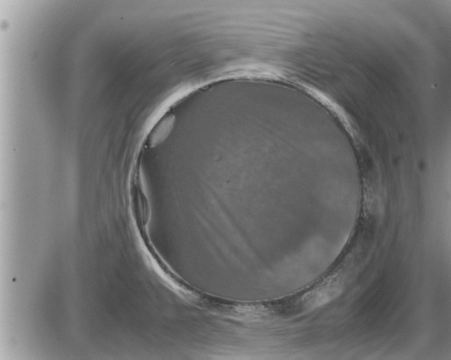 X0000085251383200703231639