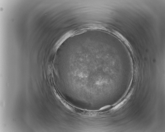 X0000085251385200703231638