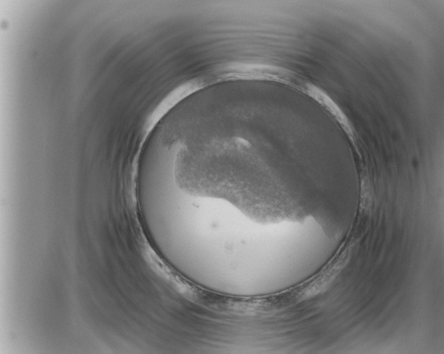 X0000085251386200703231638