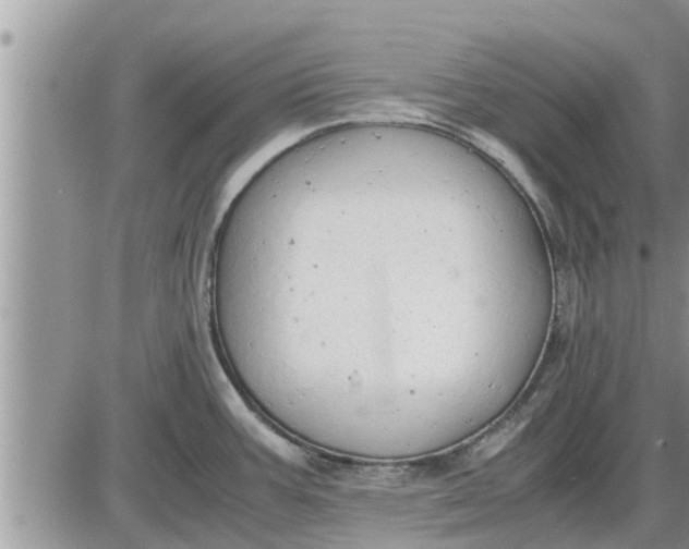 X0000085251387200703231638