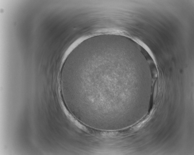 X0000085251389200703231638