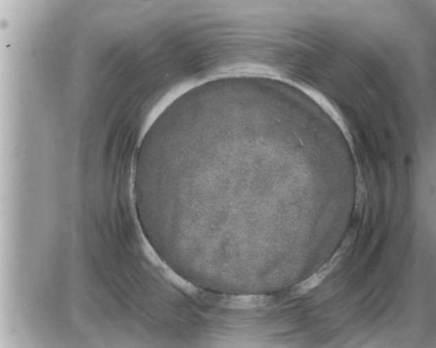 X0000085251390200703231638