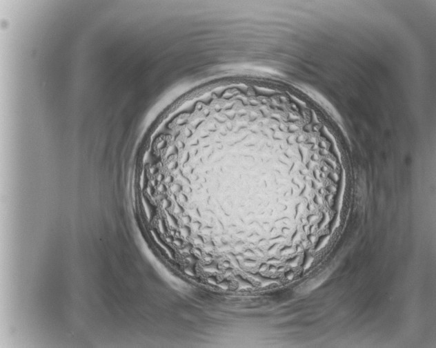 X0000085251391200703231638