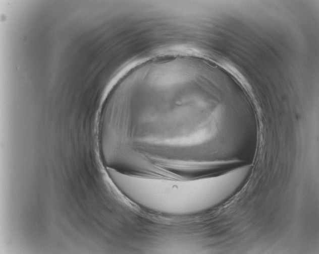 X0000085251392200703231638