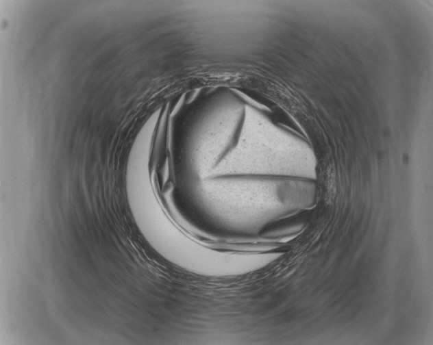 X0000085251394200703231638