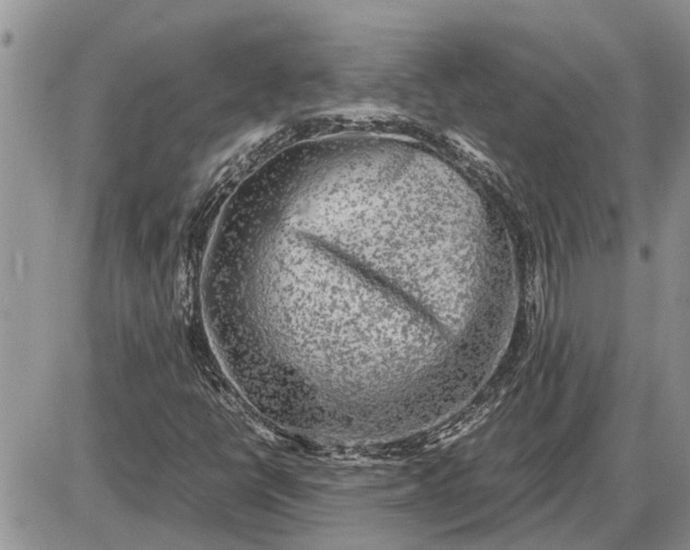 X0000085251398200703231638