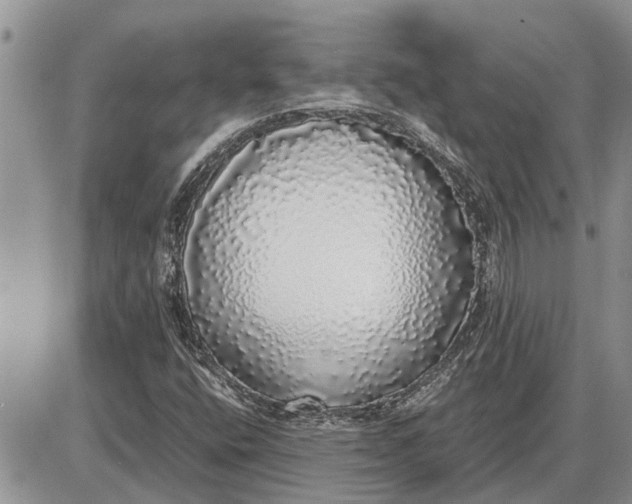 X0000085251400200703231638