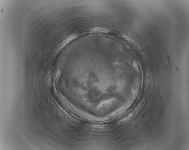 X0000085251401200703231638