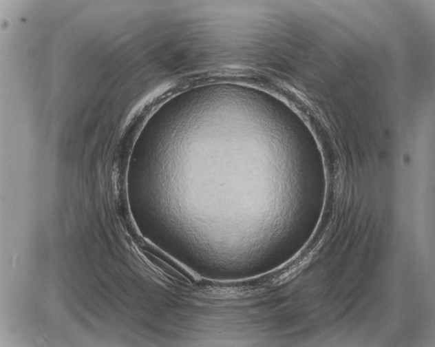 X0000085251402200703231638