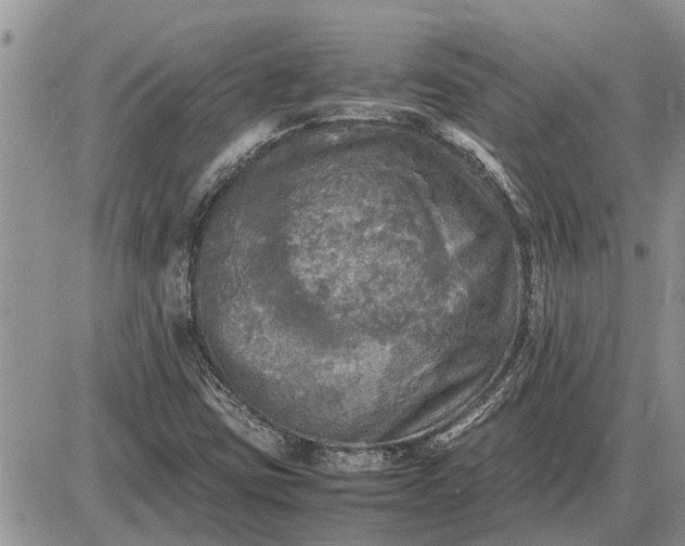 X0000085251403200703231638