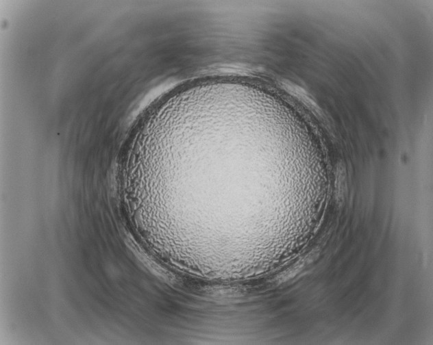 X0000085251404200703231638