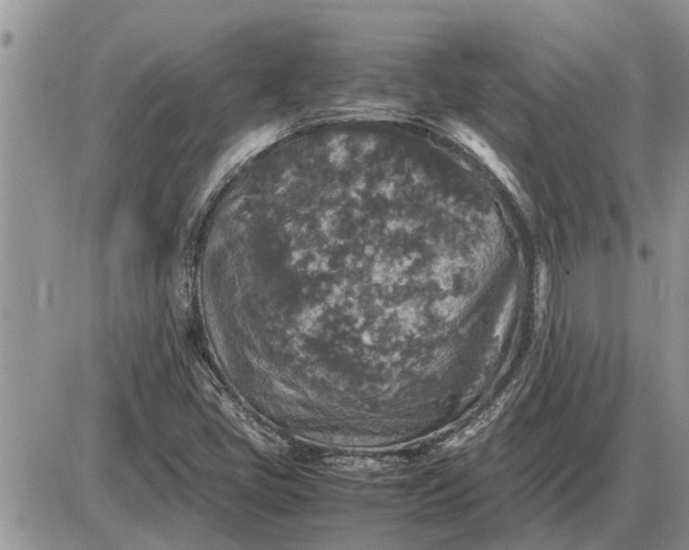 X0000085251405200703231638