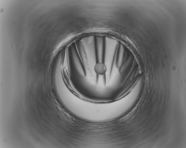 X0000085251406200703231638