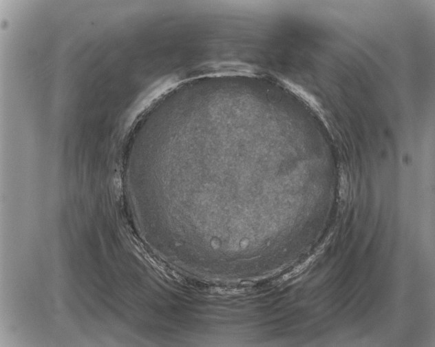 X0000085251407200703231638