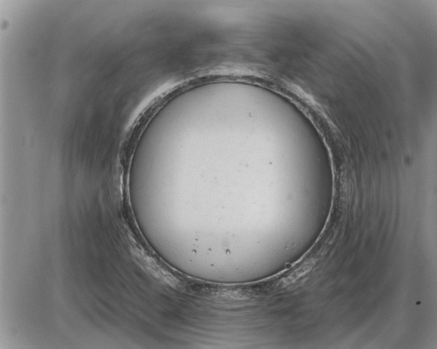 X0000085251408200703231638