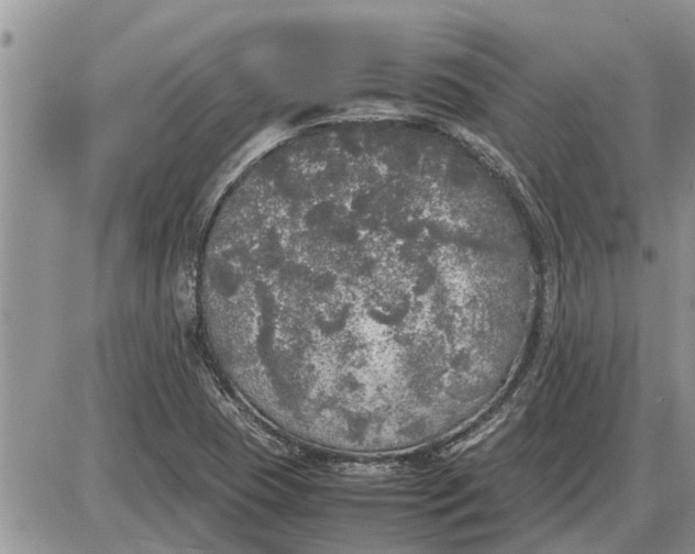 X0000085251409200703231638