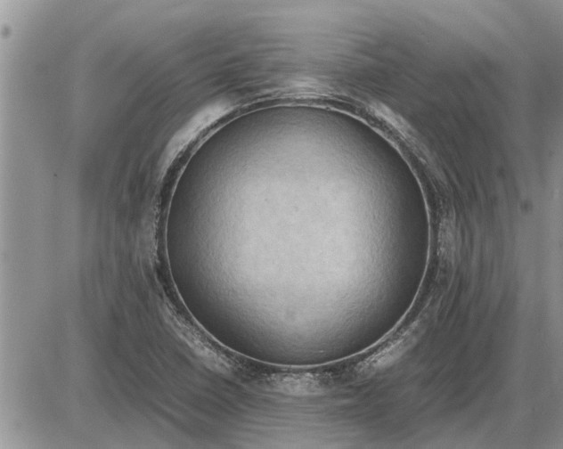 X0000085251410200703231638