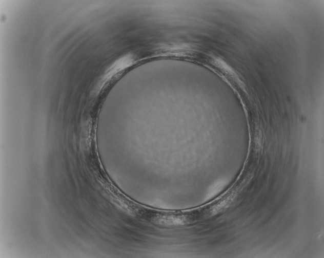 X0000085251411200703231638