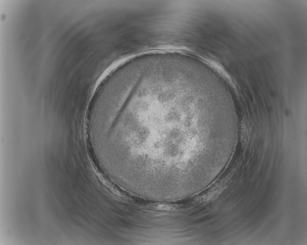 X0000085251412200703231638