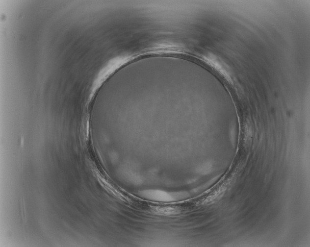 X0000085251413200703231638