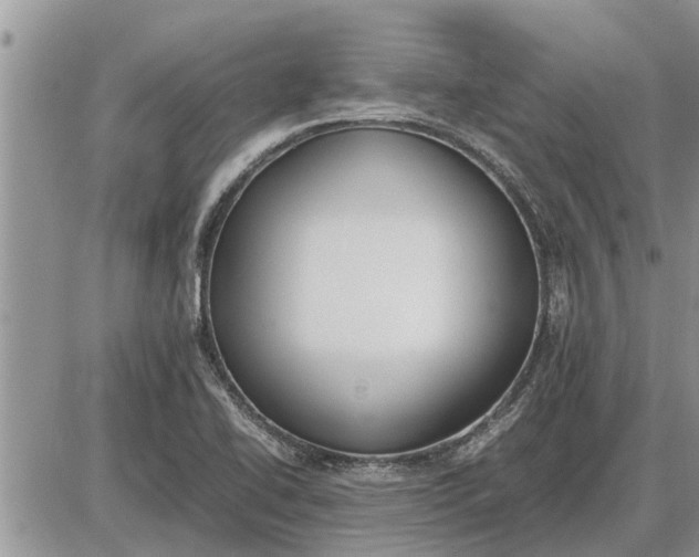 X0000085251414200703231638