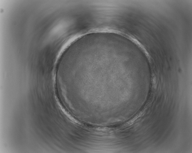 X0000085251416200703231638