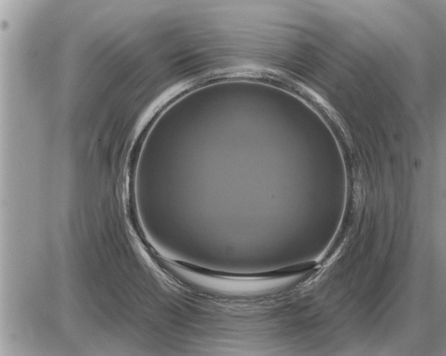 X0000085251418200703231638