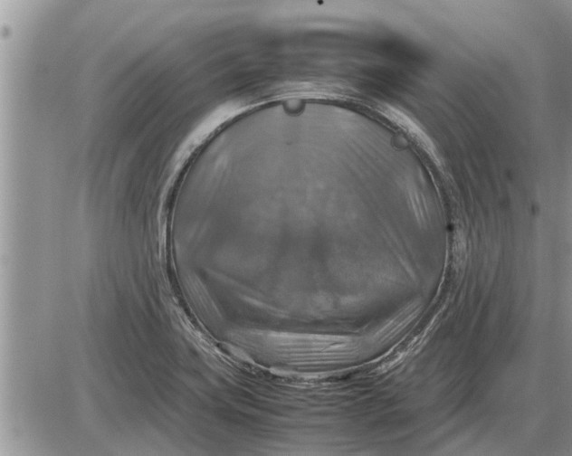 X0000085251419200703231638