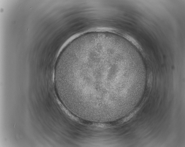 X0000085251420200703231638