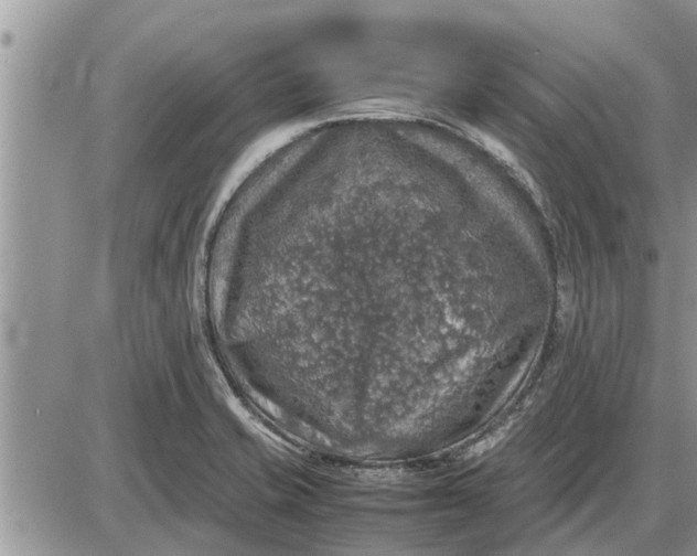 X0000085251421200703231638