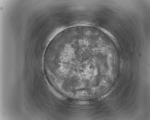 X0000085251423200703231638