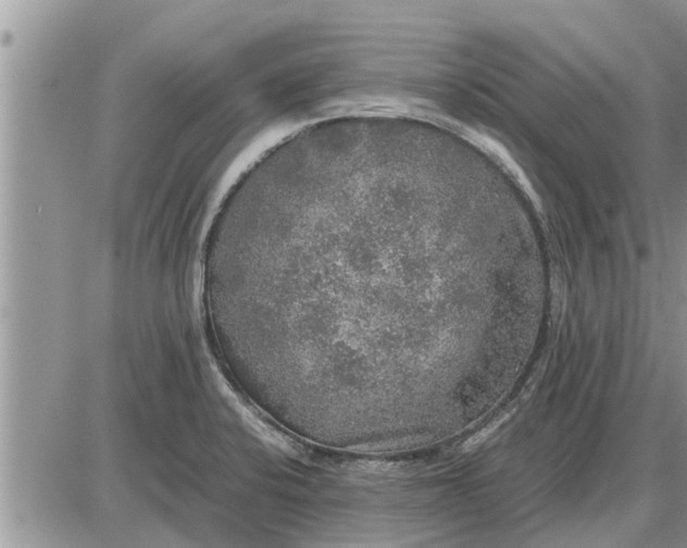 X0000085251424200703231638