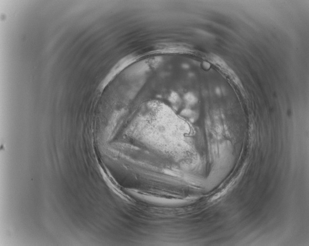 X0000085251425200703231638