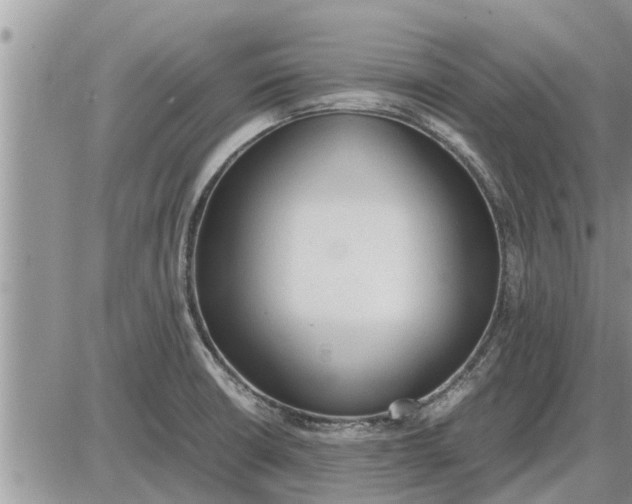 X0000085251426200703231638