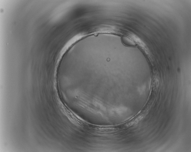 X0000085251427200703231638