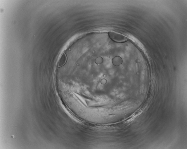 X0000085251429200703231638