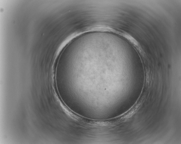 X0000085251430200703231638