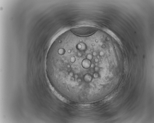 X0000085251431200703231638