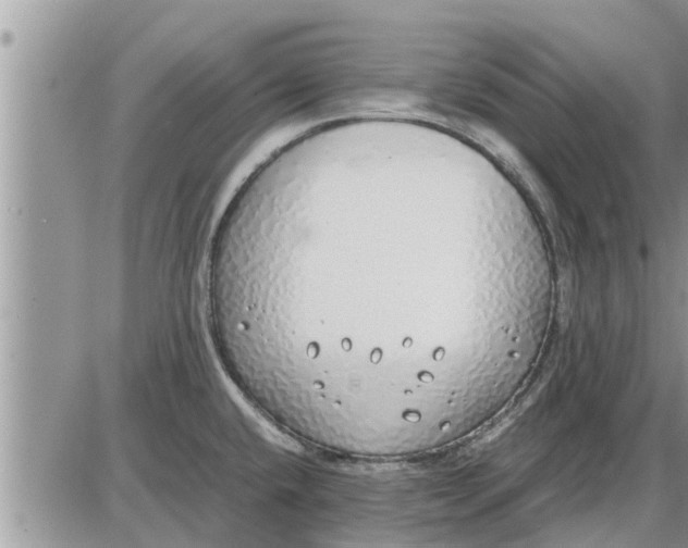 X0000085251432200703231638