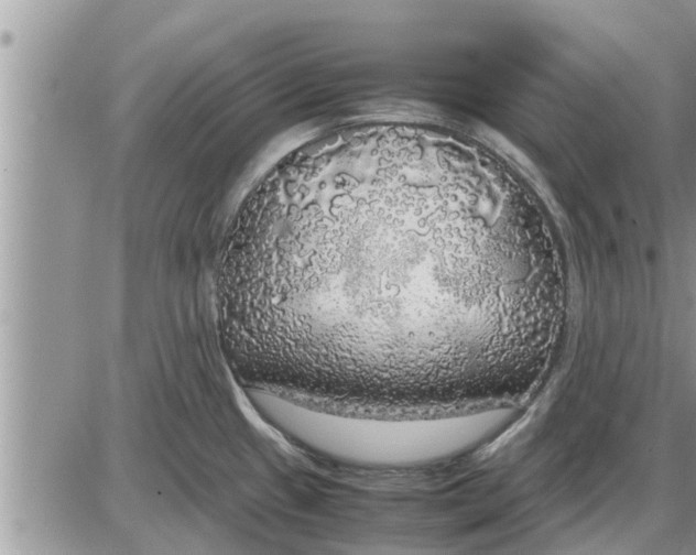 X0000085251433200703231638