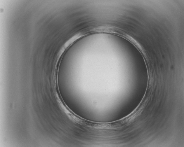 X0000085251434200703231638