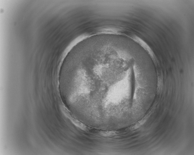 X0000085251435200703231638