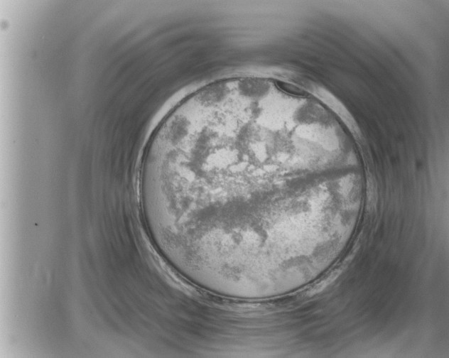 X0000085251436200703231638