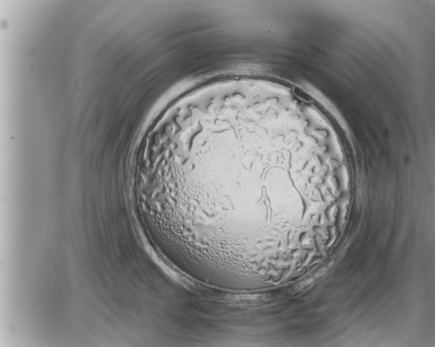 X0000085251437200703231638